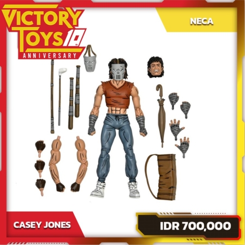 TMNT CASEY JONES (Mirage Comics) By Neca