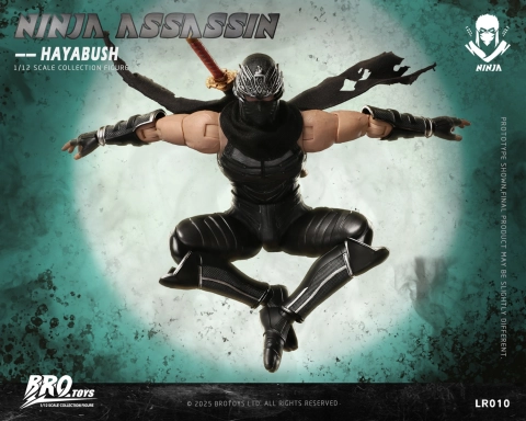 LR010 Ninja Assassin Hayabusa 1/12 Scale  Figure by Bro Toys